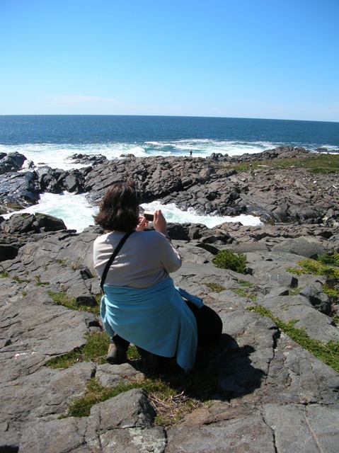 Lobster Cove on Monhegan